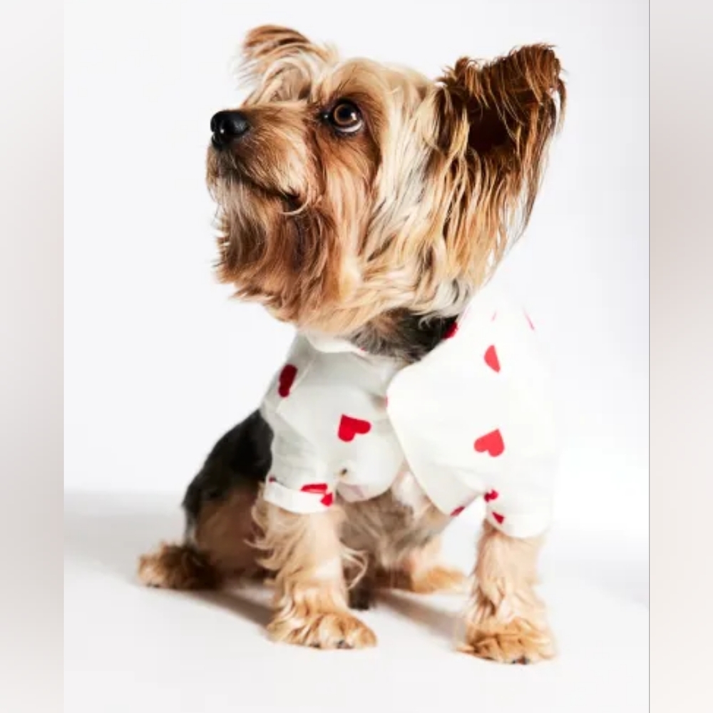 Dog Valentine Shirt size Small